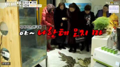 韩国综艺：咸素媛和中国婆婆买鳄鱼，婆婆太彪