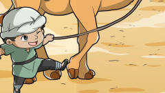 小伙骑骆驼旅行很愉快，骆驼却遭殃了！