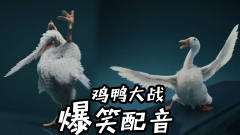 四川方言：爆笑鸭子大战公鸡，输了就变北京烤