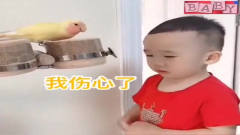 王奕博跟小动物对话真逗，就为了不跟他玩最后