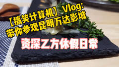 【搞笑计算机】Vlog：IT人的假期带娃最常去的地