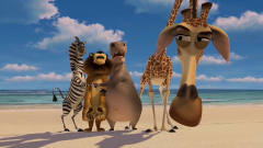 《马达加斯加》搞笑片段剪辑，为什么一头长颈
