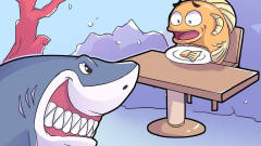 小鱼到鲨鱼开的店吃饭，没想到却送了性命！