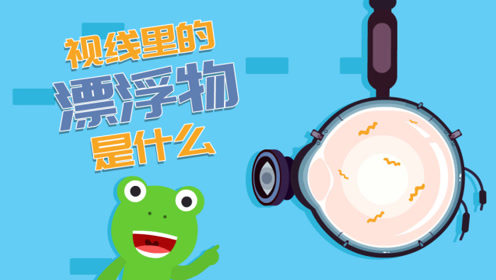 飞碟一分钟：一分钟告诉你视线里的漂浮物究竟