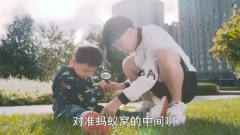 陈翔六点半：我们的毛台上校去哪了，你这未免
