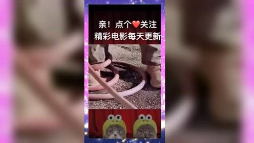 男子路边打洞，竟然直接钻出血来