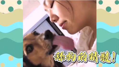 搞笑视频：这才是舔狗的精髓啊