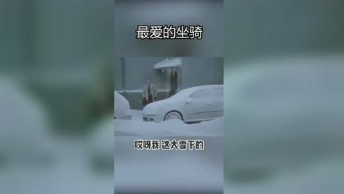 搞笑搞笑视频搞笑配音你们那里下雪了吗都能找