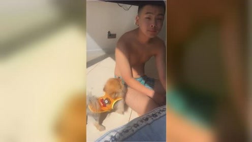 狗子和男孩对视很*凶 下一秒被男孩抱起表情亮了