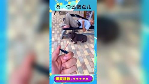 小伙恶搞老爸，结果大爷条件反射，歪打正着完