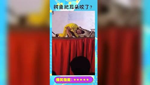 小伙子拿命在表演，结果被鳄鱼恶搞，可把大哥