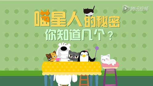 【飞碟冷知识】喵星人的秘密你知道几个？