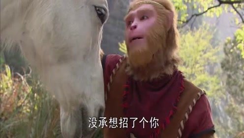 猴子跟白龙马吐槽，师傅太唠叨，真是太搞笑了