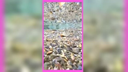 表面浑浊的水面，水下却清澈见底，这就是大自