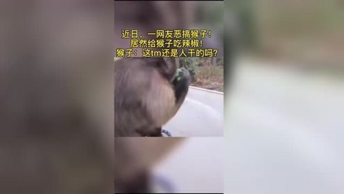 一网友恶搞猴子的视频流出，猴子：这是人干的