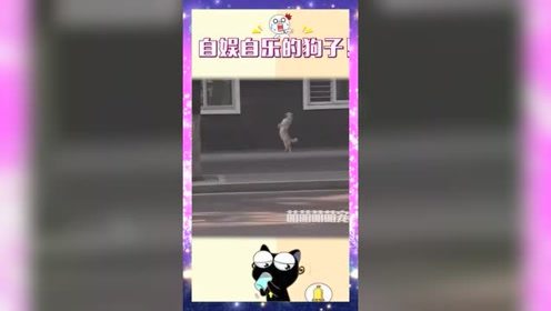 跟着音乐动起来。