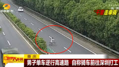 疯狂！男子单车逆行高速路！自称骑车前往深圳