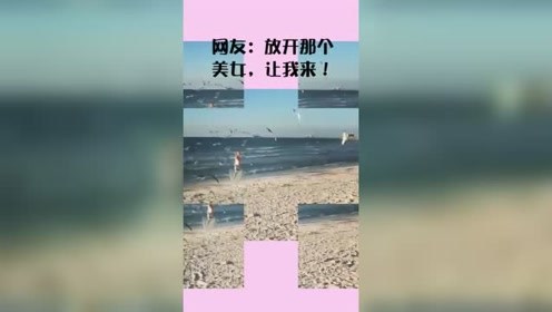 泳装美女突然被海鸥围攻，场面真是太搞笑