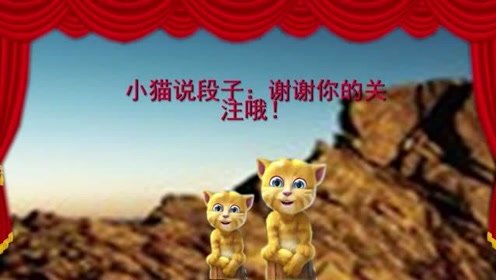 小猫讲笑话：走路上被人指着骂，二货真开心，