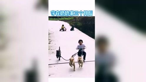 在农村的快乐，看这小孩玩的多开心！