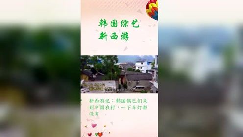 新西游记：韩国偶巴们来到中国农村，一下车灯