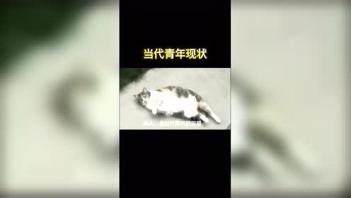 #每日搞笑精选#当代青年现状