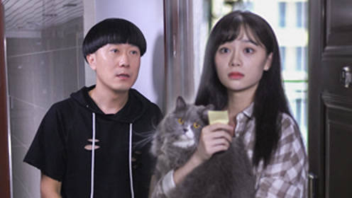 《陈翔六点半》第119集 单身狗巧用猫咪换取美女