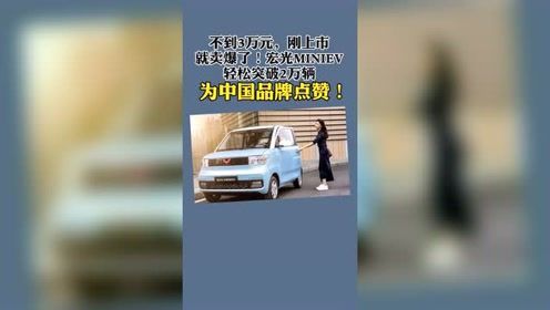 不到3万元，刚上市就卖爆了！宏光MINIEV轻松突破