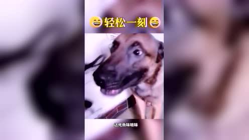 #热点速看#每日一笑！