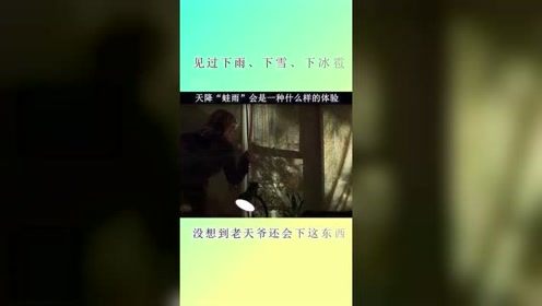 美女拉开窗帘看了一眼屋外，瞬间就被吓坏了