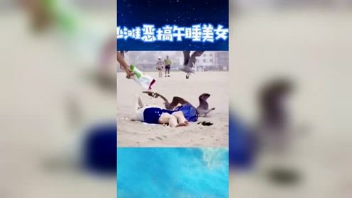 沙滩恶搞睡觉的美女