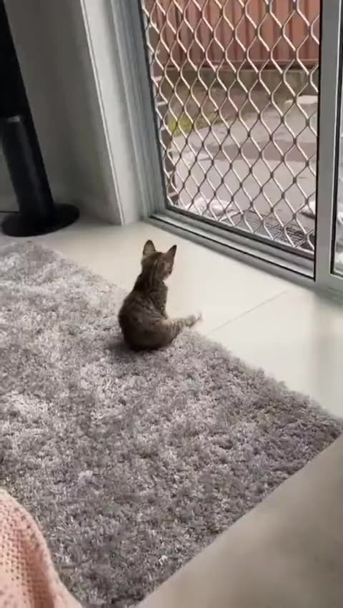 开心到脚脚飞起来