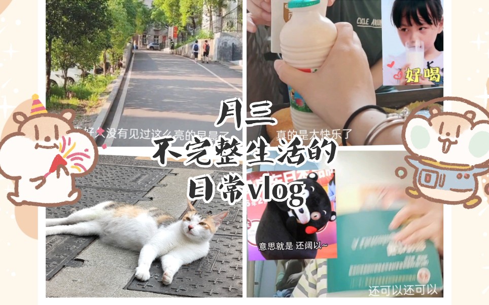 月三vlog | 不完整日常 | 碰瓷猫 | 快乐背单词 | 牛