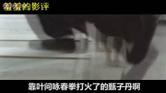 【羞羞的影评187】周星驰竟是师出名门的武林高