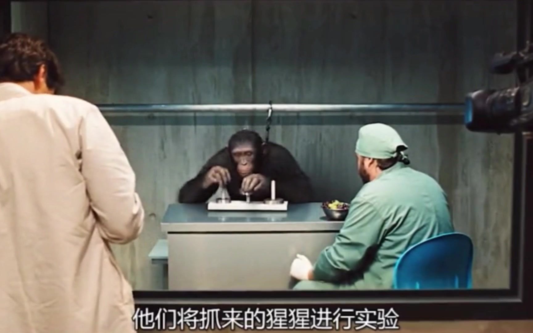 （上）领袖凯撒大帝的成神之路