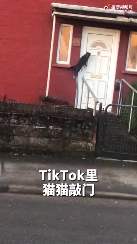 闹鬼的原因找到了