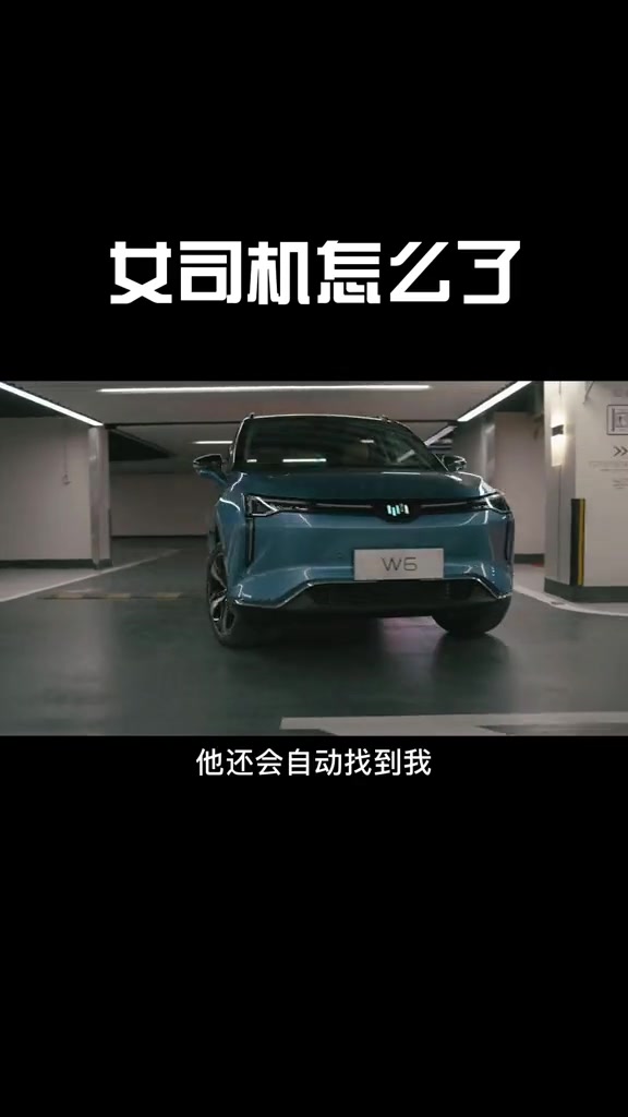 什么时候能有一辆坐骑，可以自己去找车位停车