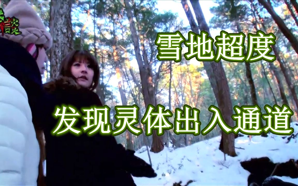 【怪谈}】自杀森林3，发现疑似灵体出入通道，雪