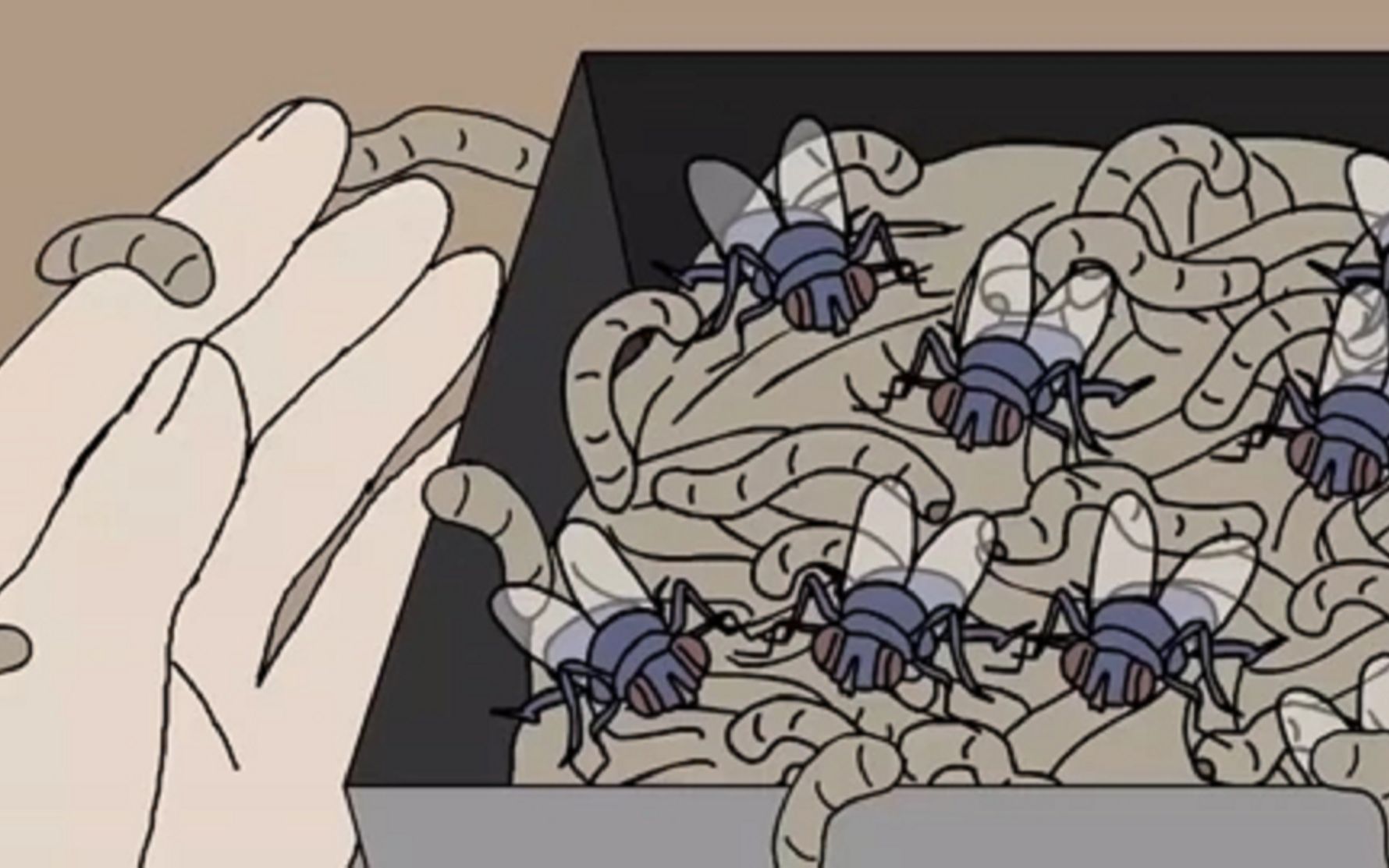 恐怖故事：我的饭盒里都是虫子！