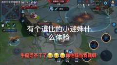 我要笑死了, 日常一乐, 我的逗比粉丝 我要睡觉了