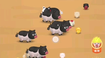 一起来养猪