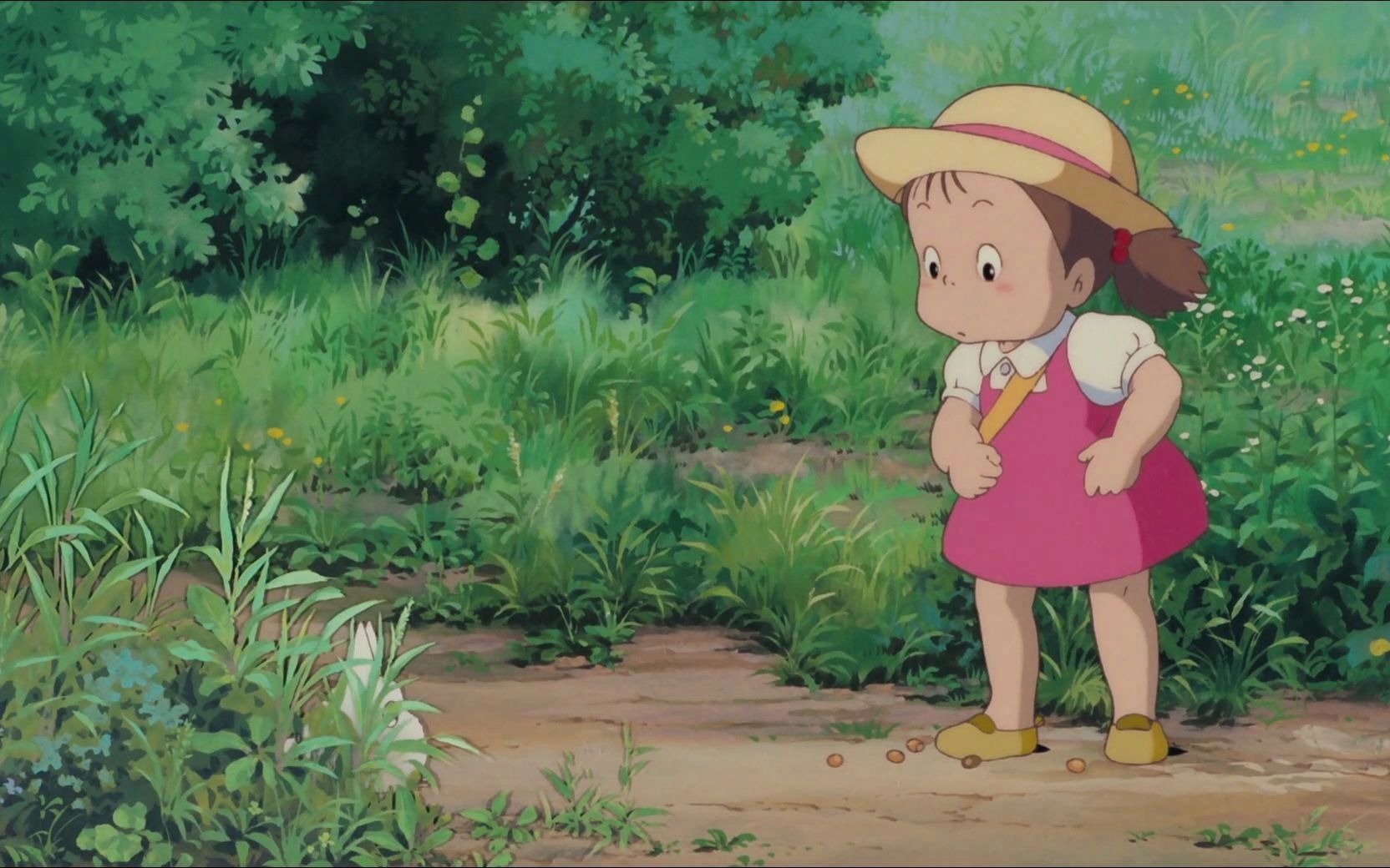 龙猫