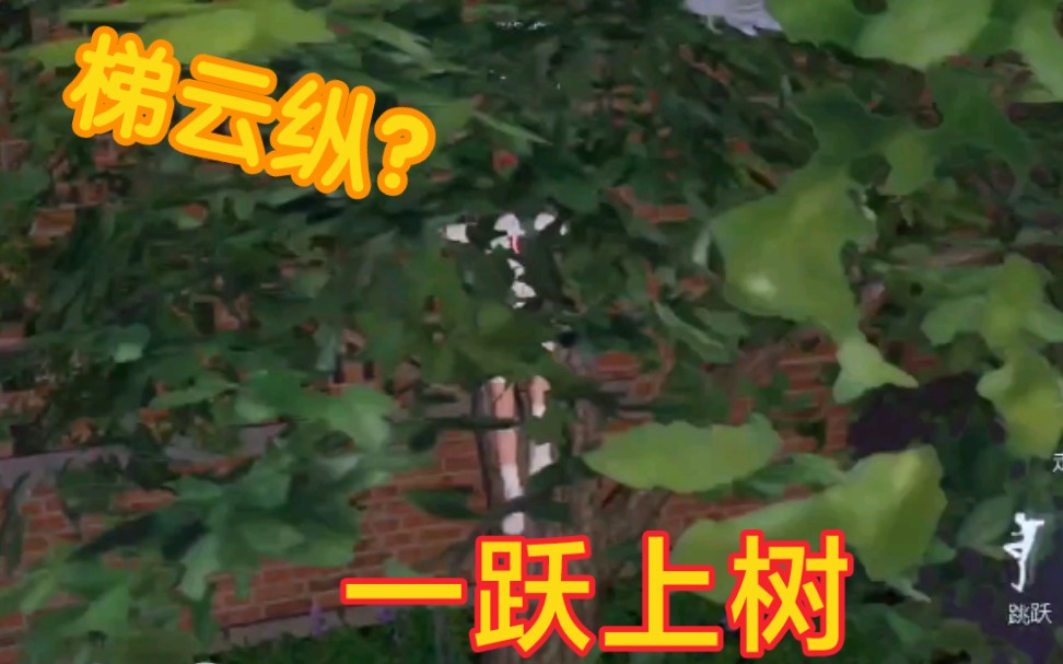 清华学生在祖龙广场轻功上树？