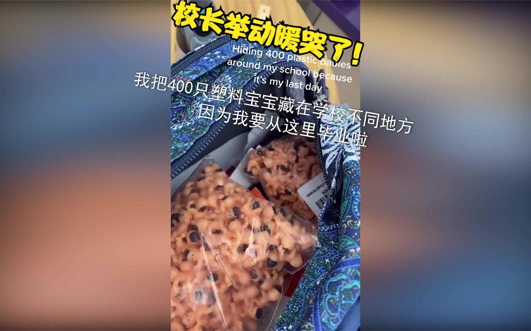 【最后的疯狂】毕业前我把400个橡胶宝宝藏在校