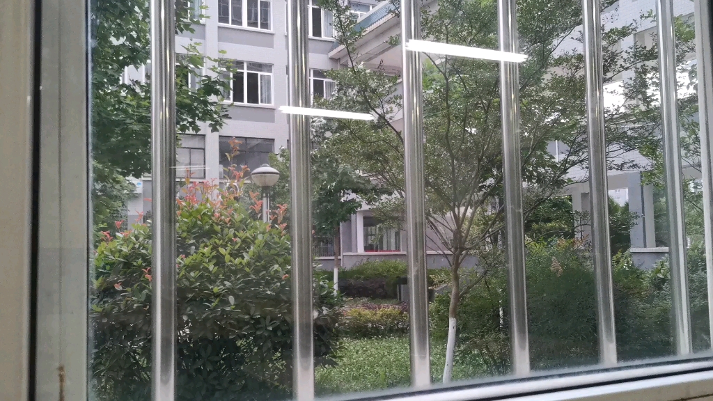 我的大学生活其2