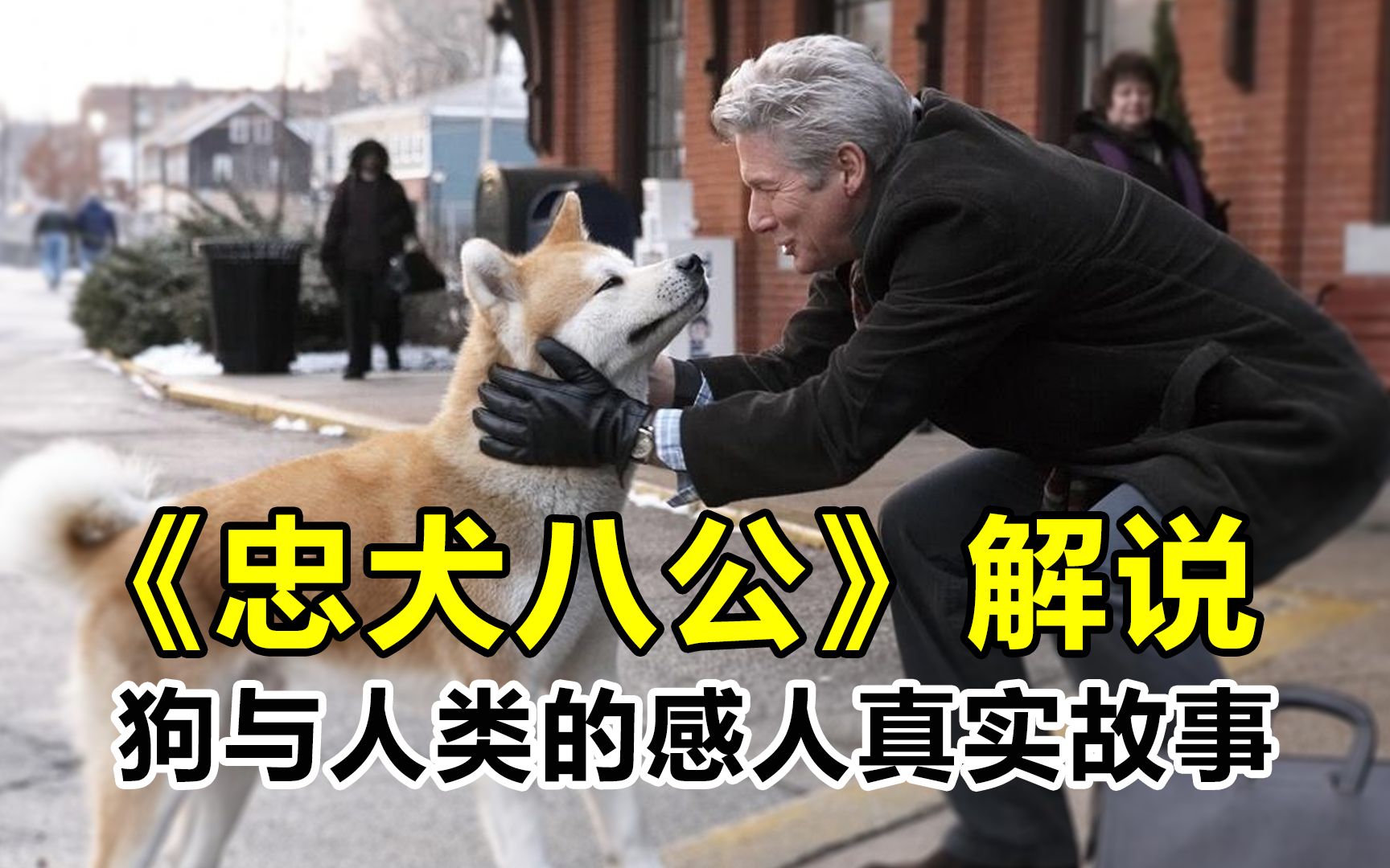 《忠犬八公》狗狗不知道主人离世，在车站外等