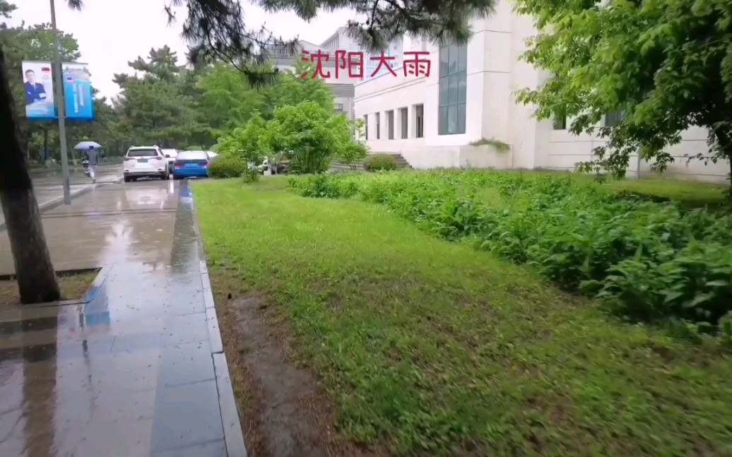 沈阳大雨～记录生活