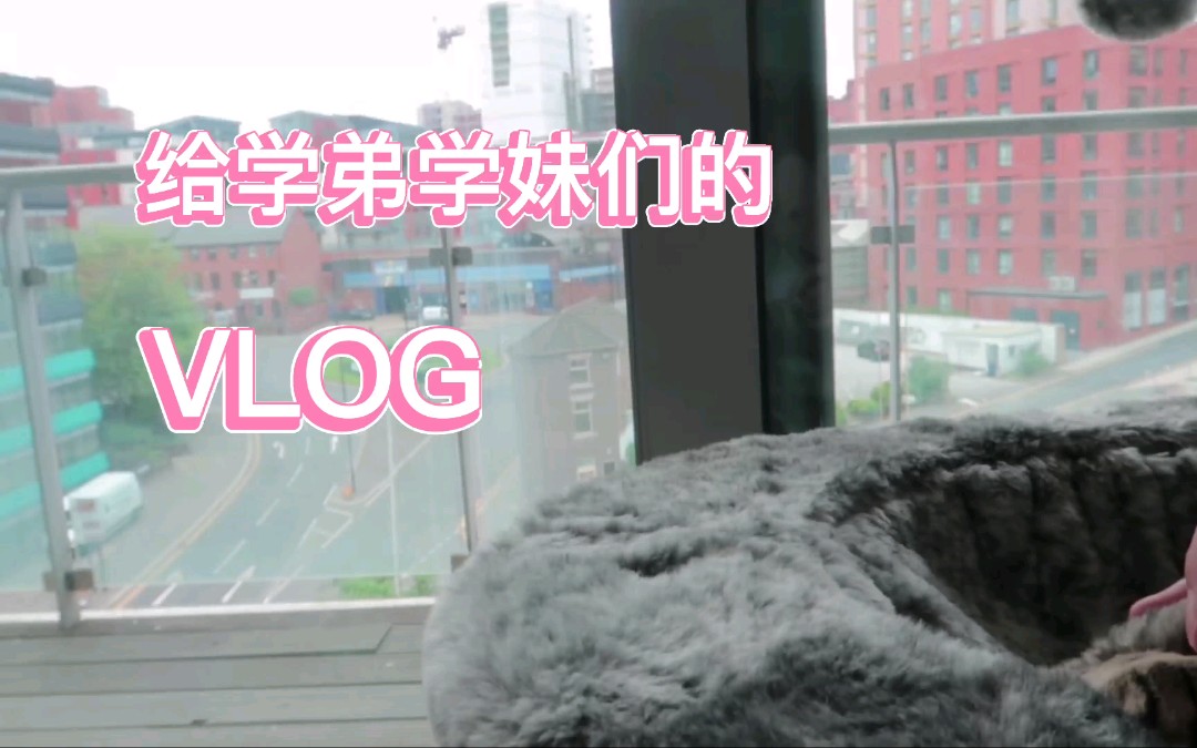 学弟学妹vlog