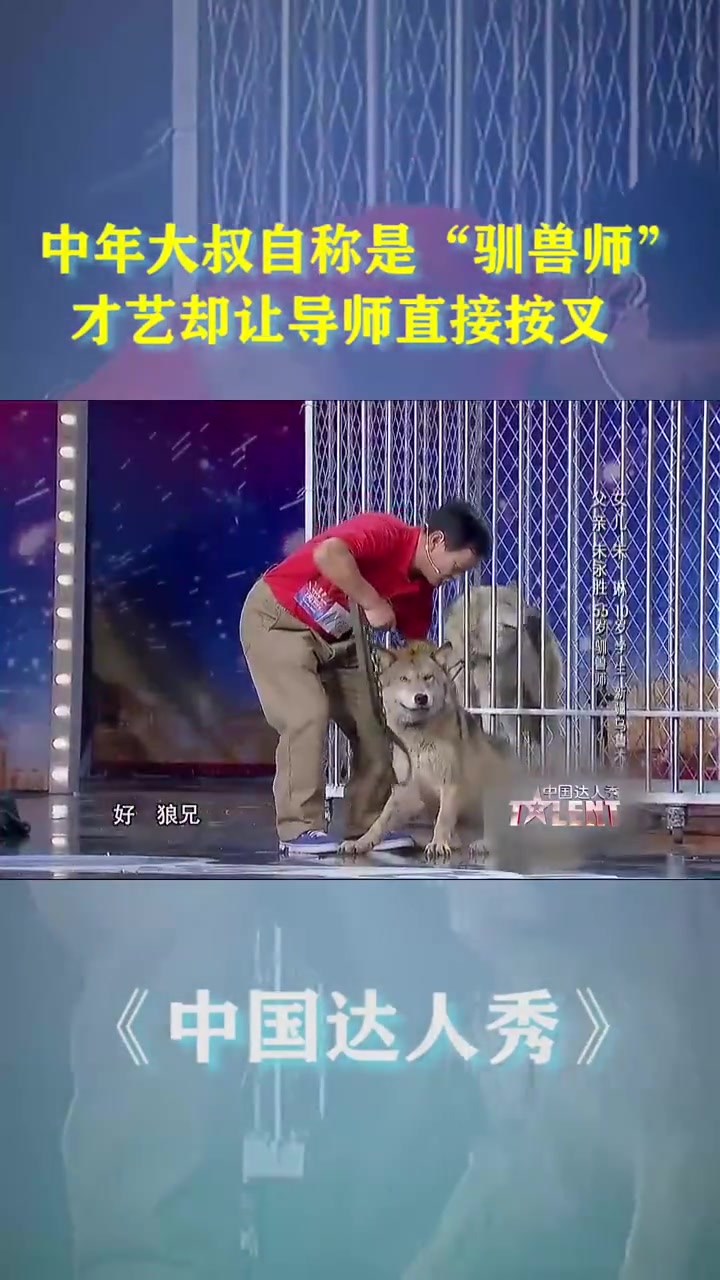 综艺,:选秀,搞笑,