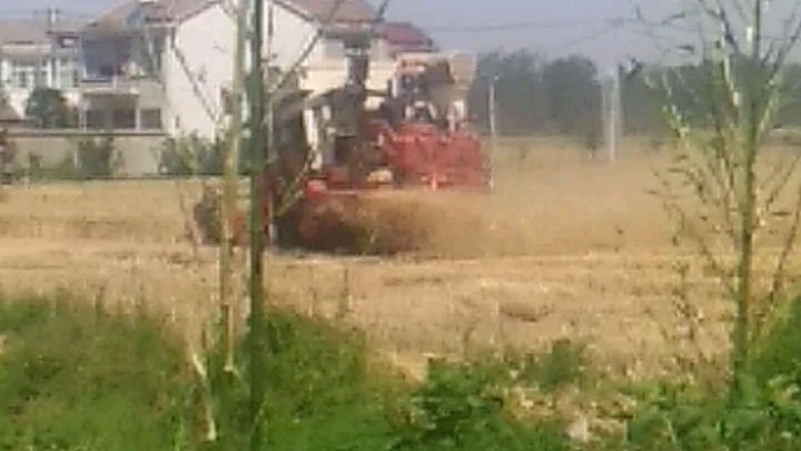 安徽农村收割小麦